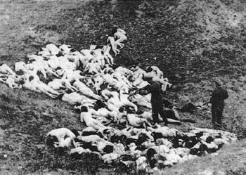 纳粹确定处理犹太人的最后解决方案--种族灭绝